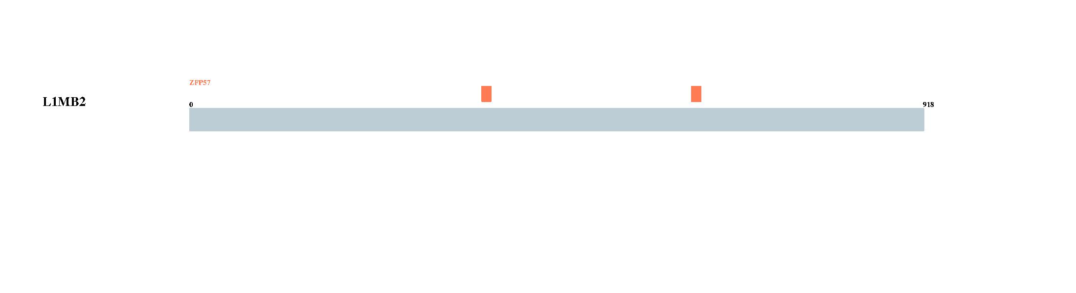 Tongji University
