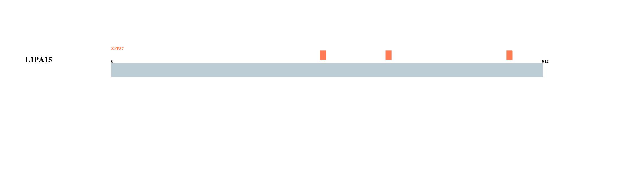Tongji University