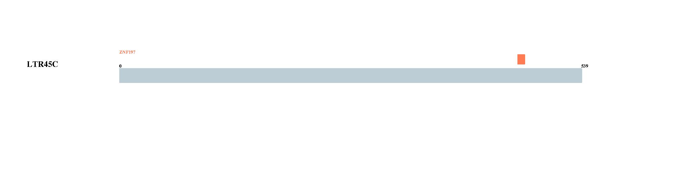 Tongji University