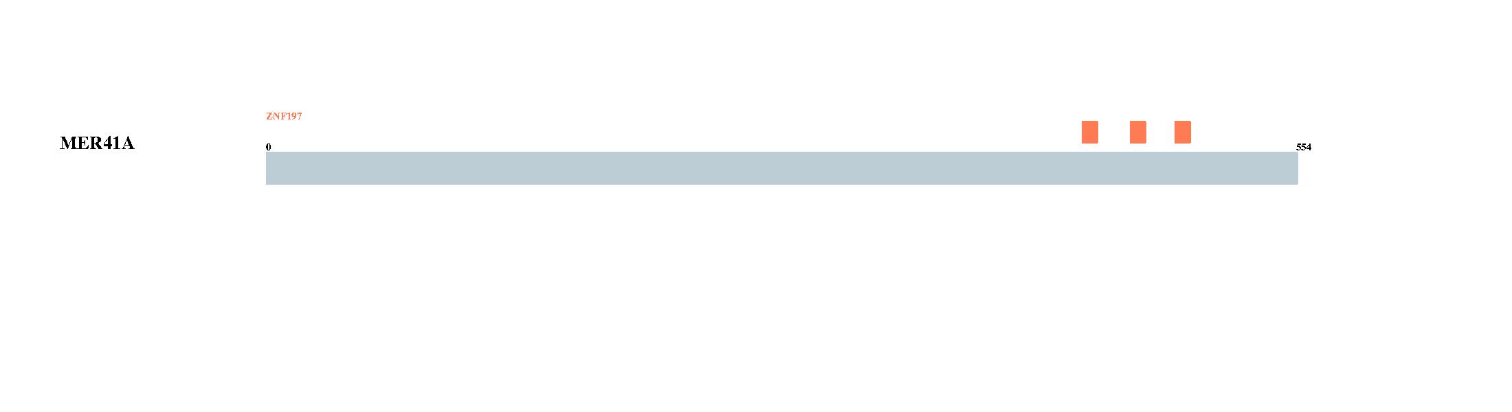 Tongji University