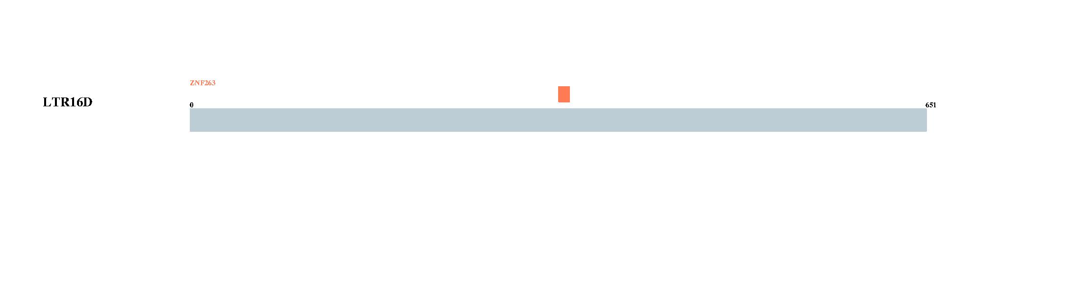 Tongji University