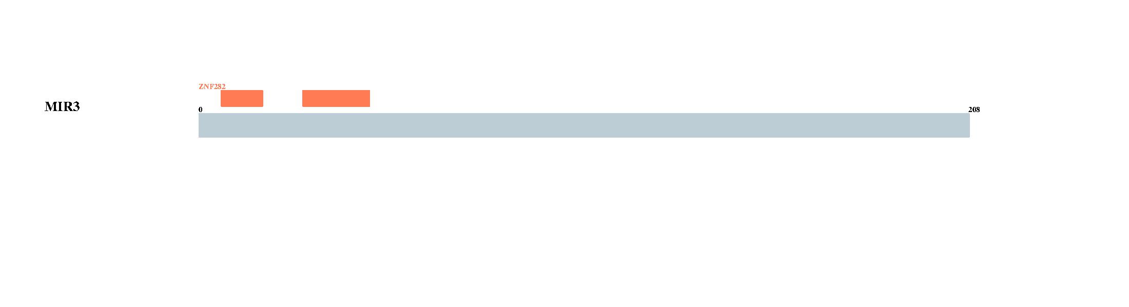 Tongji University