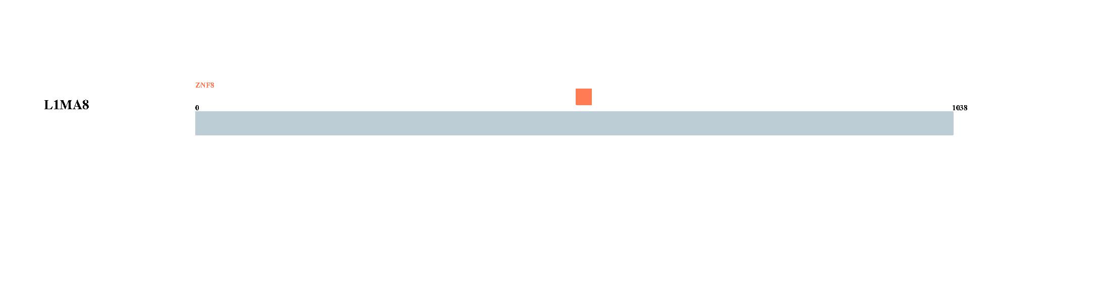 Tongji University